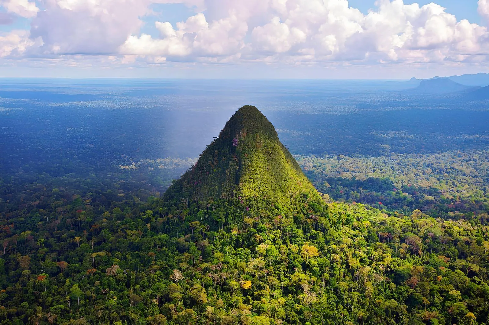 Gigante misteriosa na Amaz&ocirc;nia: montanha em forma de pir&acirc;mide intriga cientistas e povos ind&iacute;genas