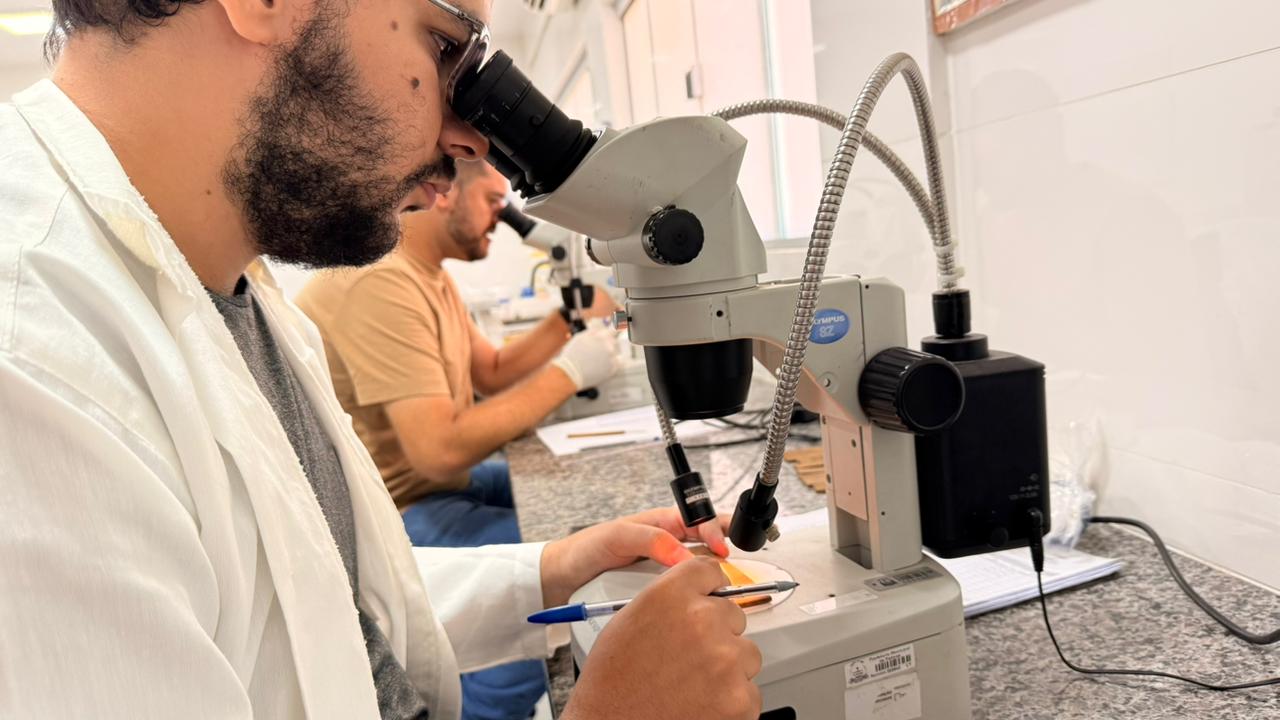 Palmas intensifica monitoramento contra dengue com armadilhas para o mosquito Aedes aegypti