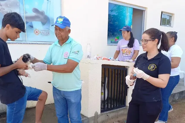 Nova Rosal&acirc;ndia intensifica a&ccedil;&otilde;es de combate ao calazar