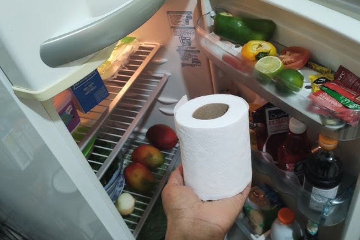 Truque simples com papel higi&ecirc;nico na geladeira promete eliminar odores fortes