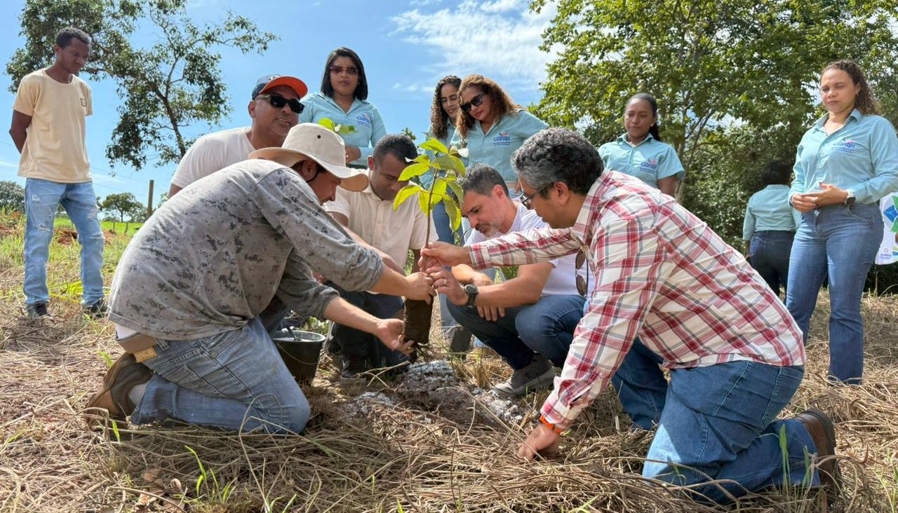 Semana da &Aacute;gua come&ccedil;a em Gurupi com a&ccedil;&otilde;es para preservar nascentes no Tocantins