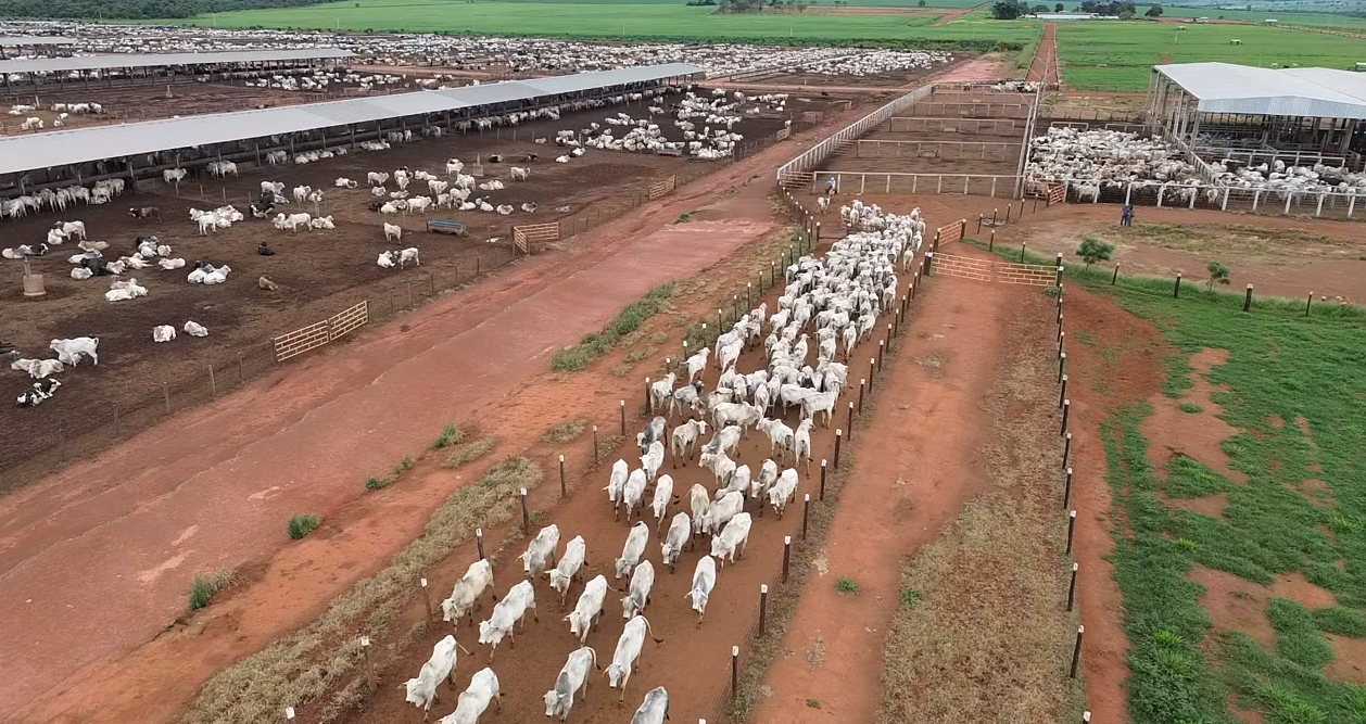 Tocantins testa rastreamento individual de bovinos e pode transformar produ&ccedil;&atilde;o de carne