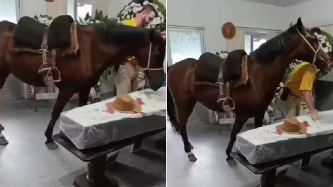 &Eacute;gua se aproxima do caix&atilde;o do tutor e rea&ccedil;&atilde;o surpreende fam&iacute;lia em vel&oacute;rio; veja v&iacute;deo