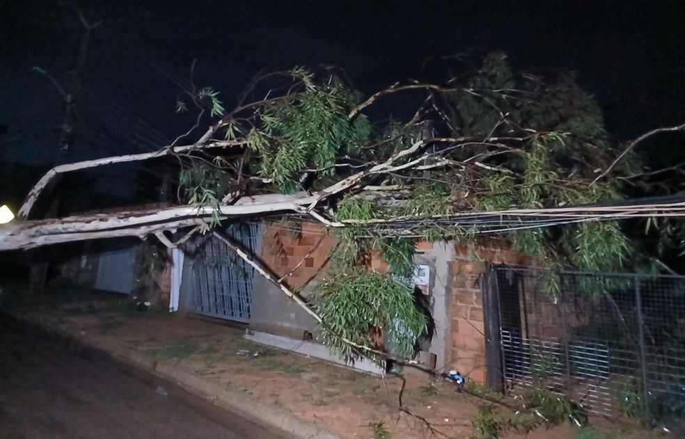 Chuva forte provoca apag&atilde;o, queda de &aacute;rvores e danos em Palmas TO