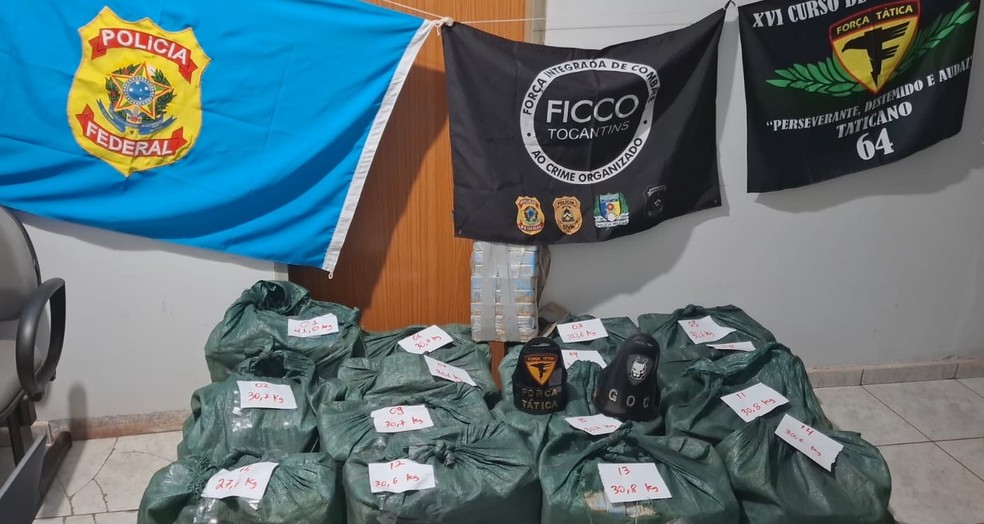 Entenda a pris&atilde;o de motorista suspeito de transportar 467 kg de coca&iacute;na em caminh&atilde;o de abacaxi na BR-153, em Taboc&atilde;o (TO)