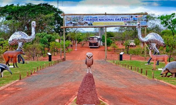 Professora desaparece em parque nacional e mobiliza grande opera&ccedil;&atilde;o de buscas em Goi&aacute;s