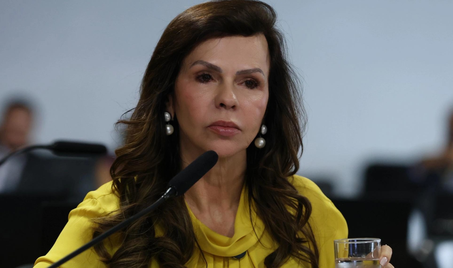 CCJ aprova projeto relatado por Professora Dorinha Seabra que cria cadastro nacional de agressores de mulheres