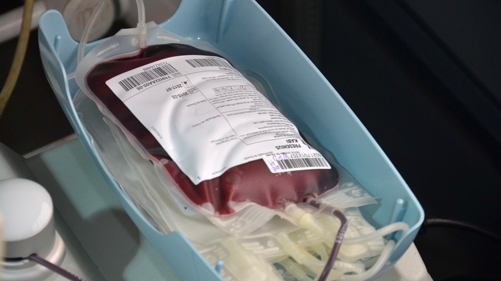 SES-TO convida popula&ccedil;&atilde;o tocantinense para doar de sangue