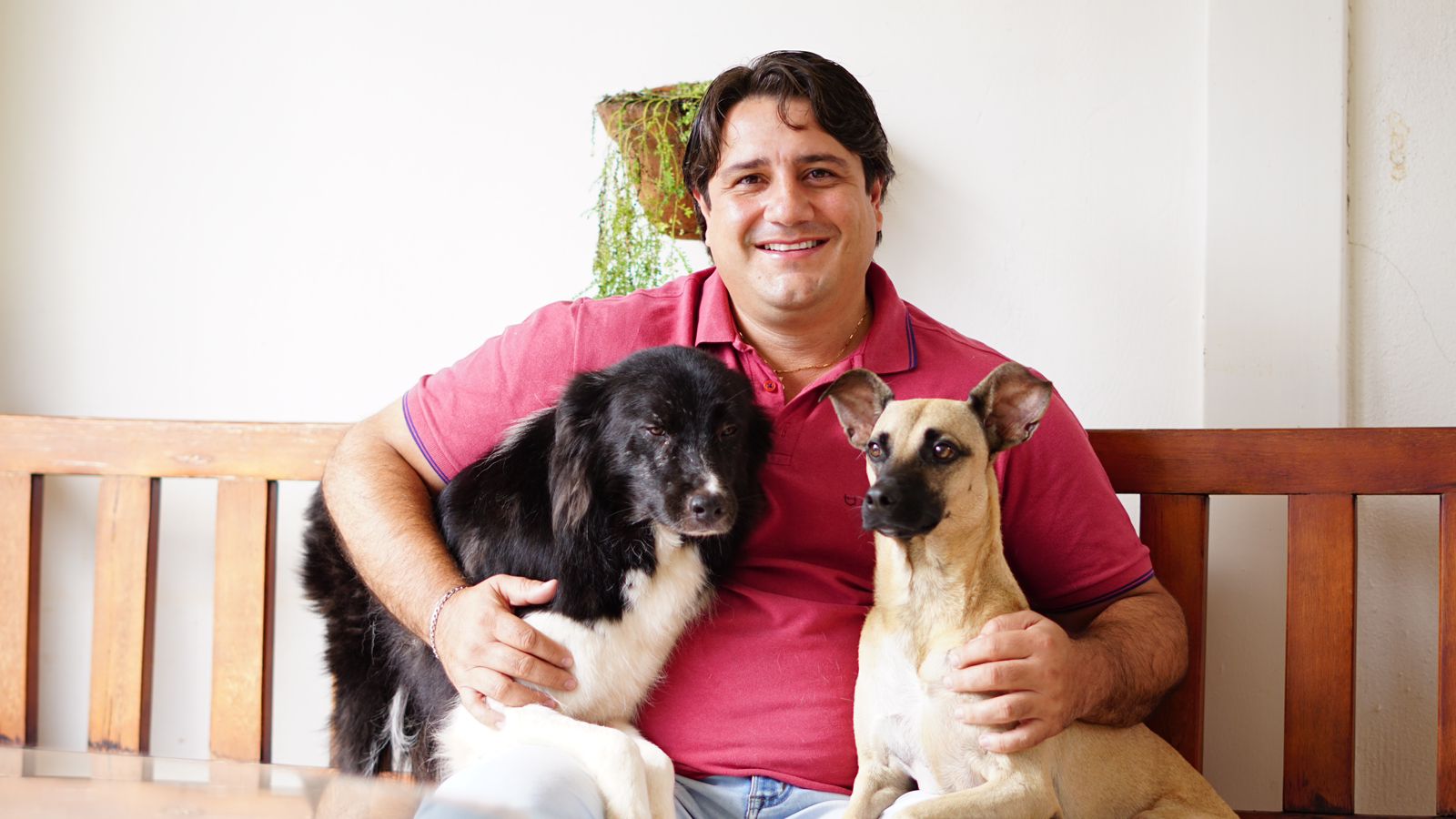 Gurupi vai oferecer mais de 400 castra&ccedil;&otilde;es gratuitas para c&atilde;es e gatos