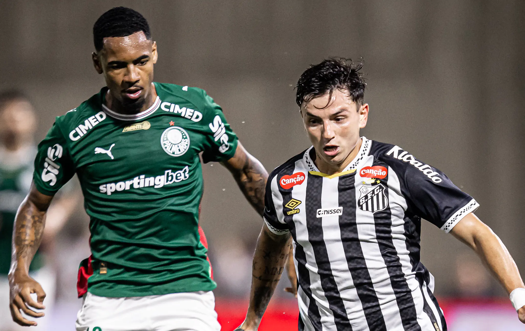 Palmeiras empata com Santos em cl&aacute;ssico dram&aacute;tico e tem gol da virada anulado no fim