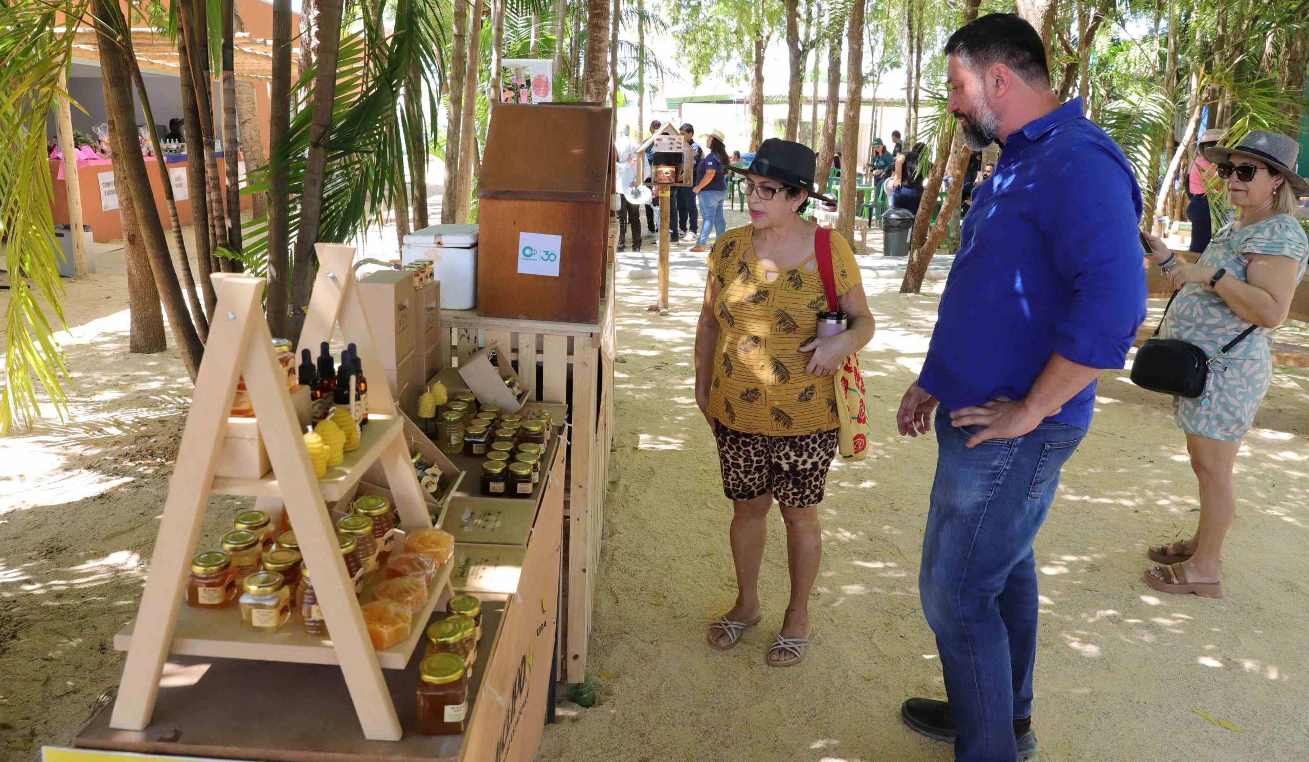 Tocantins chega &agrave; Agrotins 2026 com menor &iacute;ndice de desmatamento ilegal do Brasil