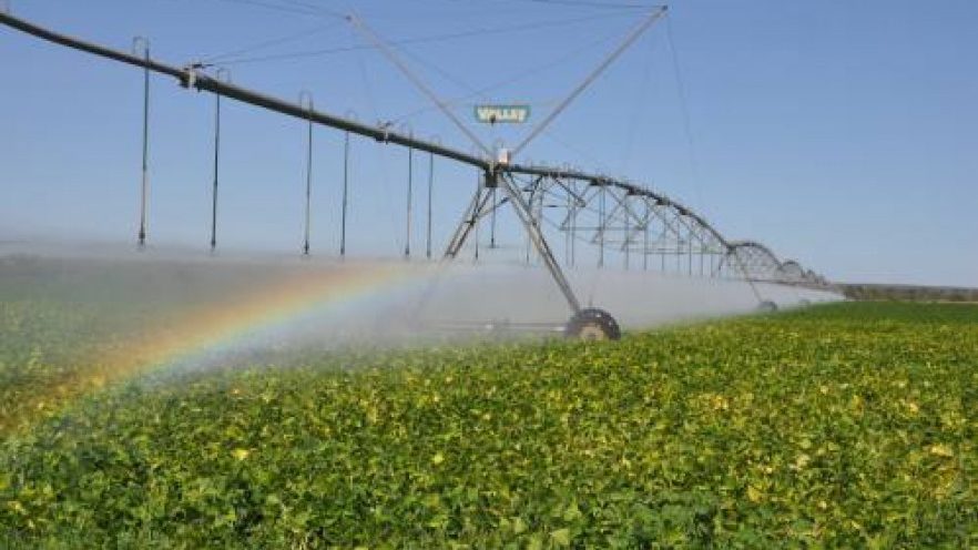 Sudoeste do Tocantins lan&ccedil;a plano para impulsionar agricultura irrigada e produ&ccedil;&atilde;o sustent&aacute;vel