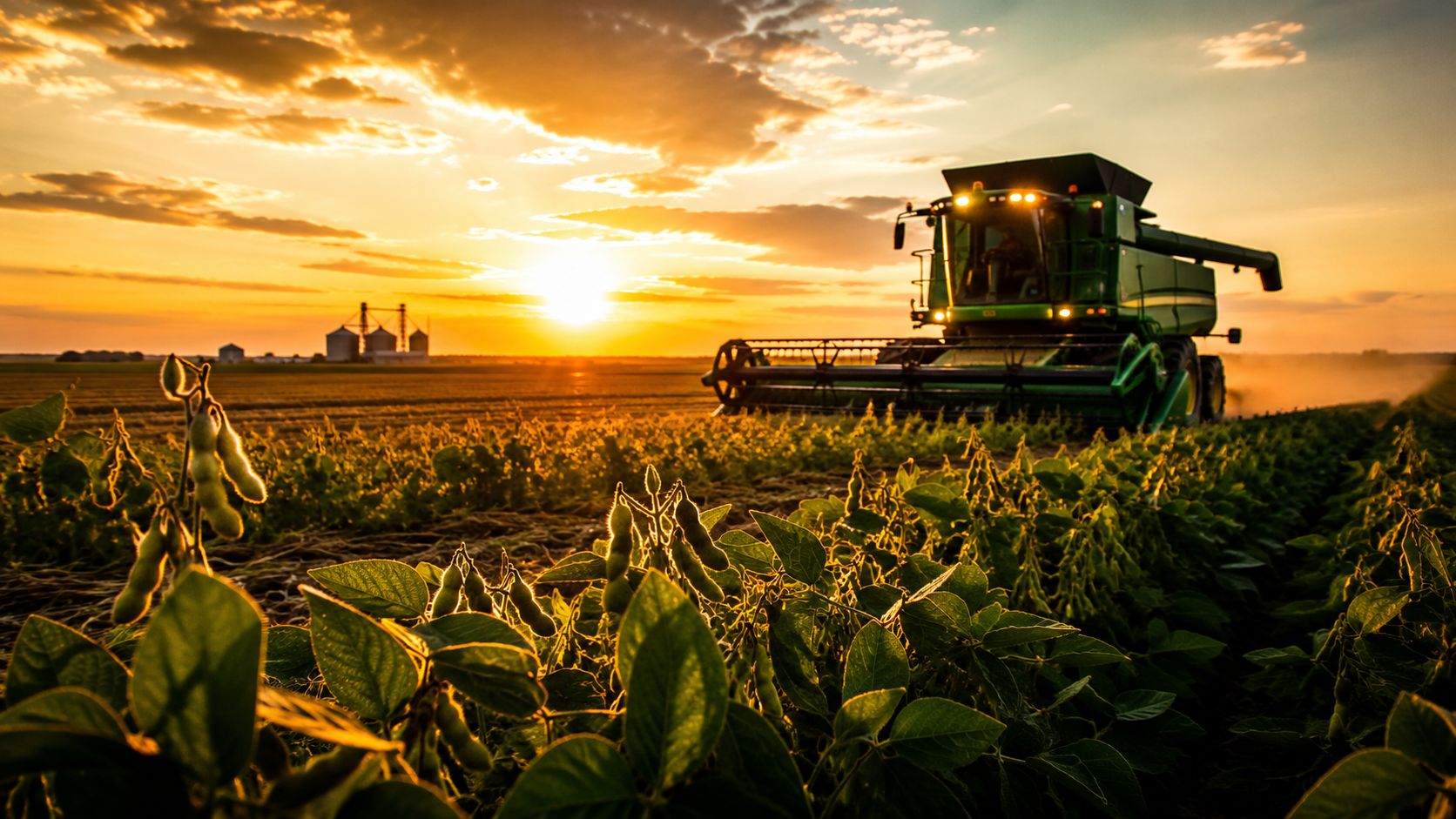 Do cerrado &agrave; pot&ecirc;ncia agr&iacute;cola: por que o Tocantins se tornou uma das novas for&ccedil;as do agroneg&oacute;cio brasileiro