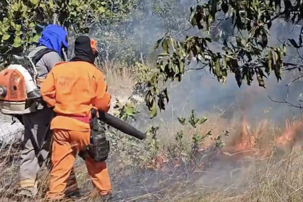 Brigadistas concluem capacita&ccedil;&atilde;o contra inc&ecirc;ndios em Concei&ccedil;&atilde;o