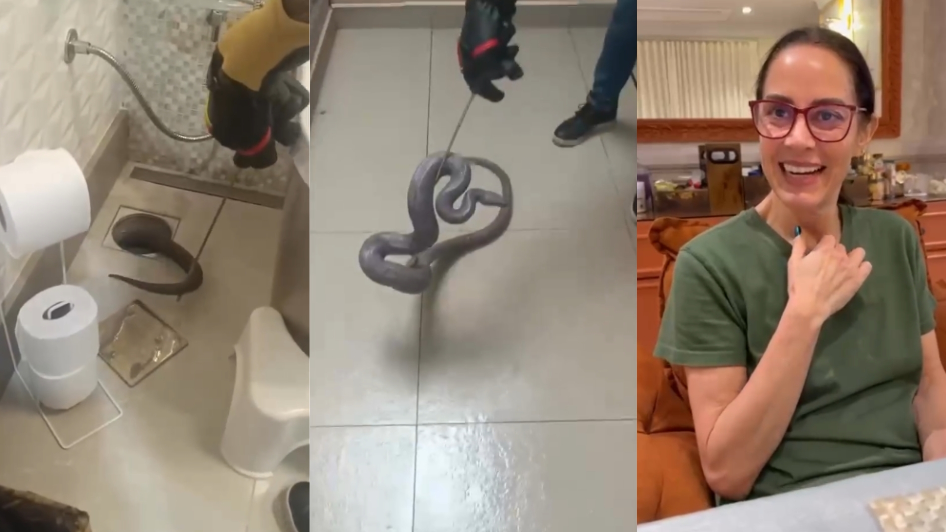 Cobra desaparecida de Silvia Abravanel reaparece ap&oacute;s 5 meses