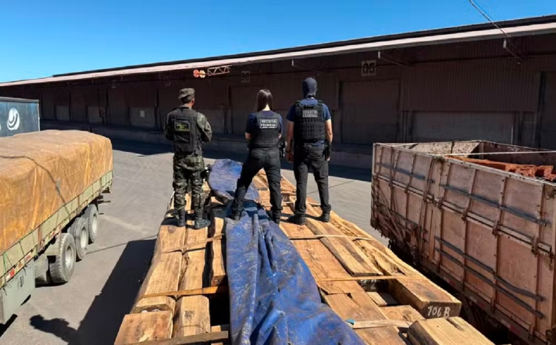 Opera&ccedil;&atilde;o apreende carga que pode esconder at&eacute; 50 toneladas de coca&iacute;na e bater recorde no Brasil