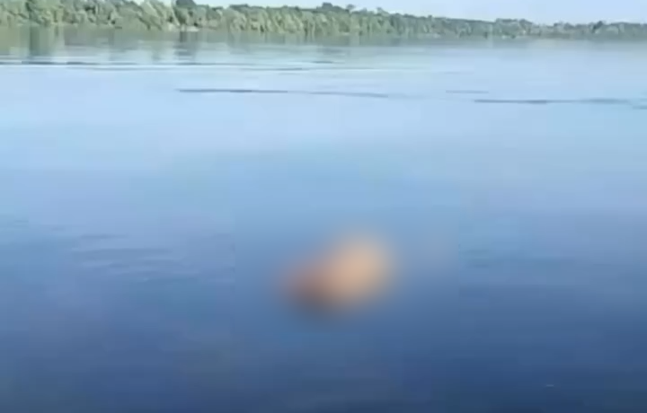 Corpo &eacute; encontrado boiando no Rio Tocantins