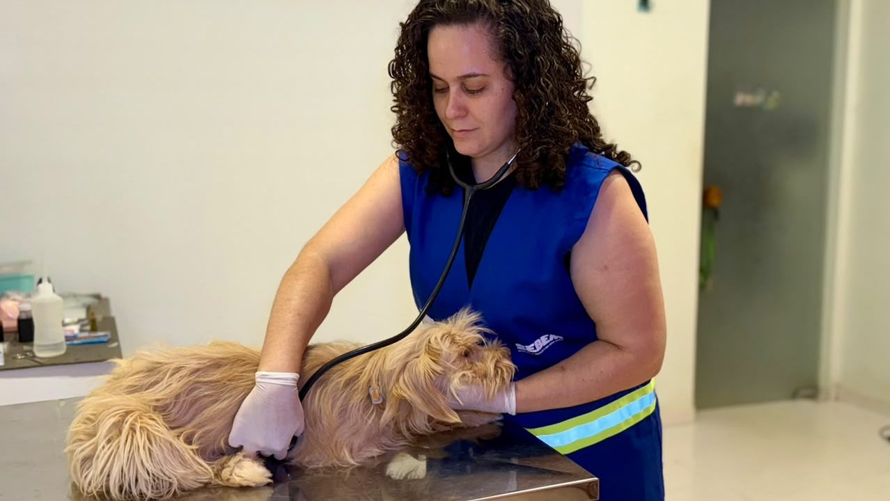 Exerc&iacute;cio ilegal da Medicina Veterin&aacute;ria passa a ser crime no Brasil