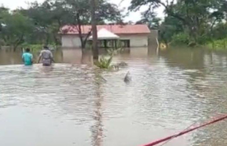 Dorinha garante R$ 4,8 milh&otilde;es para obra em Paran&atilde;