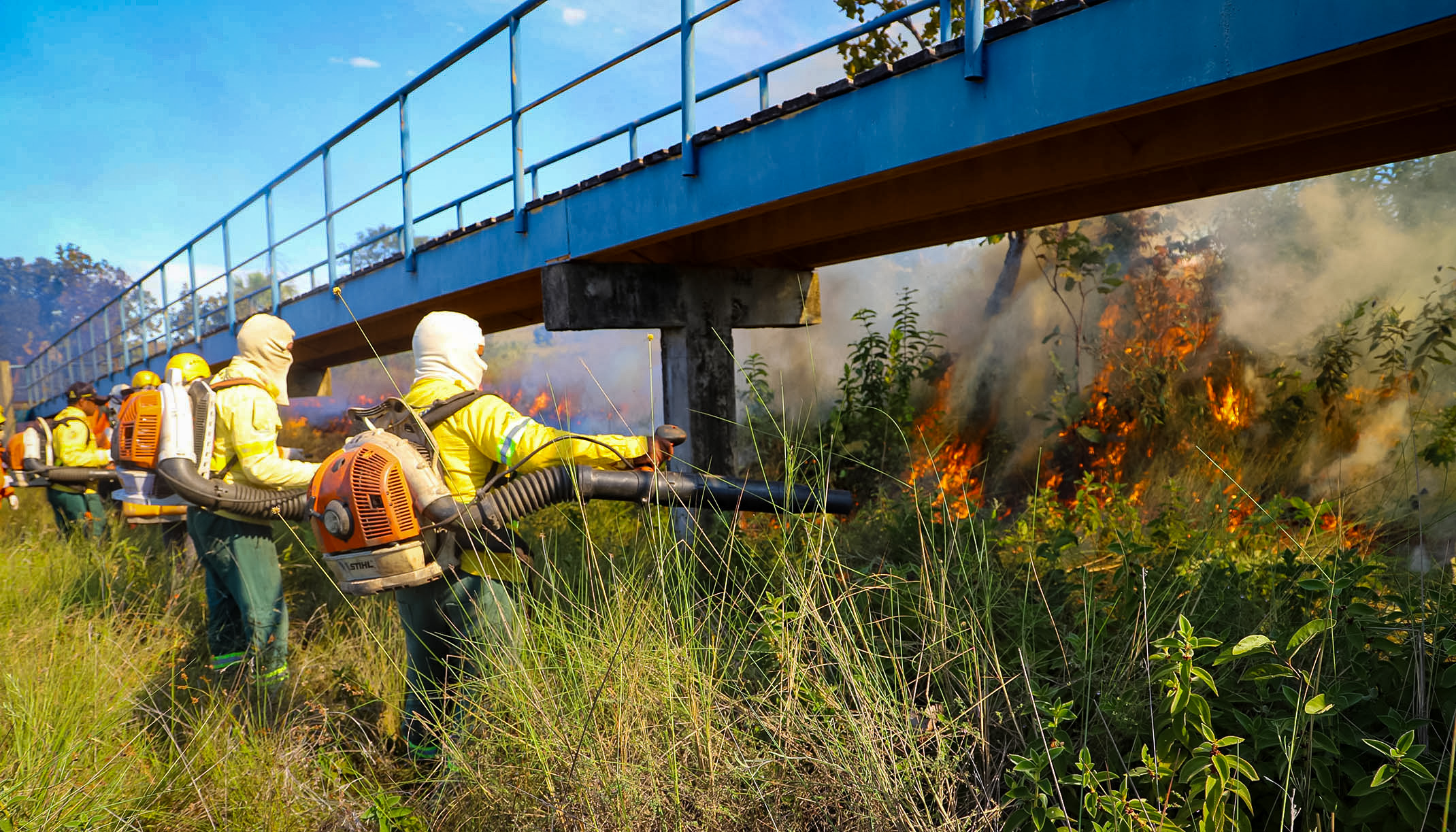 Governo do Tocantins mobiliza brigadistas para fortalecer a&ccedil;&otilde;es de preven&ccedil;&atilde;o e combate aos inc&ecirc;ndios