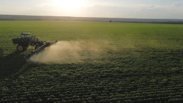 Fazenda no Tocantins alcan&ccedil;a 76 sacas de soja por hectare e colhe 2,6 mil toneladas