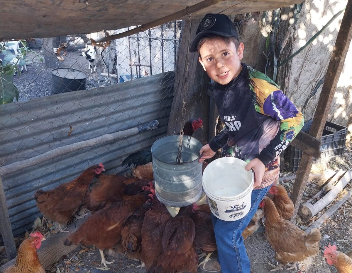 Menino de 8 anos cria neg&oacute;cio com 80 galinhas, vende ovos na escola e sonha estudar na Esalq