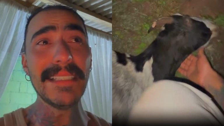 Influenciador que diz ter visto OVNI relata: “Mataram meus animais”