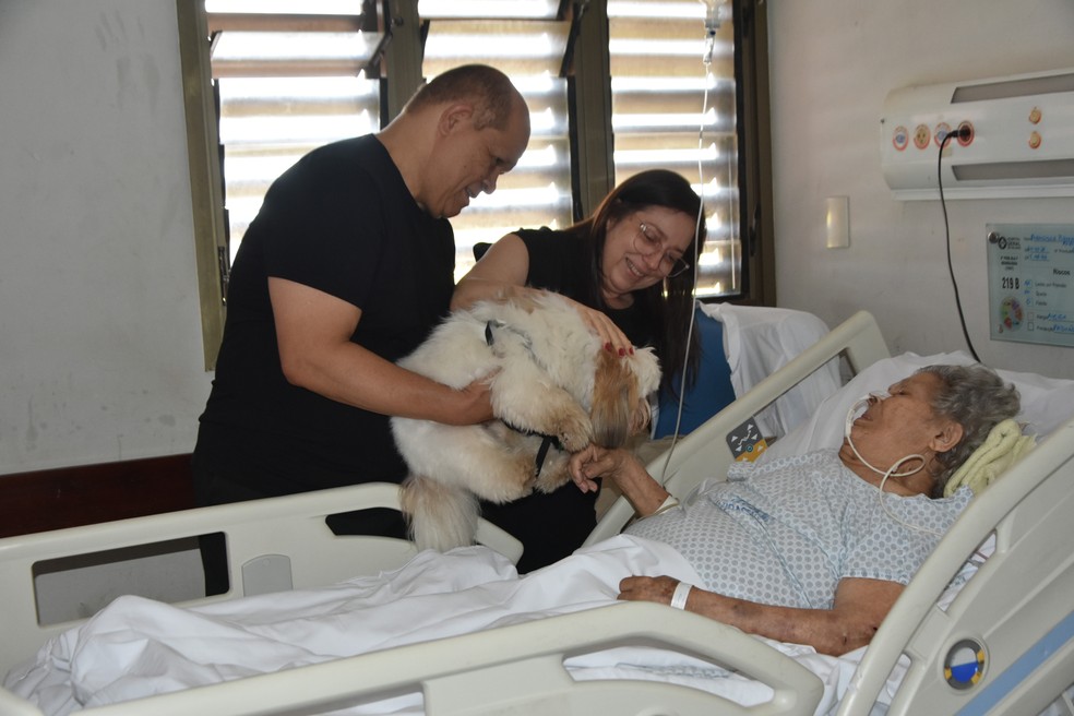 Idosa de 90 anos internada ap&oacute;s AVC se emociona ao reencontrar cachorro de estima&ccedil;&atilde;o em hospital no Tocantins