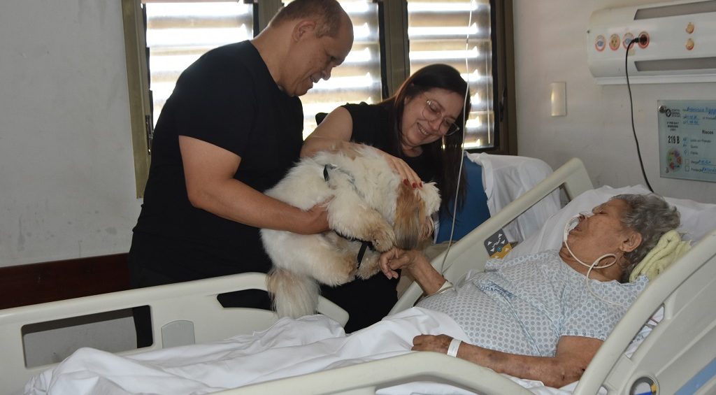 HGP promove encontro especial entre paciente e cachorro de estima&ccedil;&atilde;o