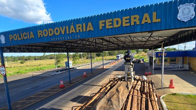 PRF realiza Opera&ccedil;&atilde;o de Combate a Crimes Ambientais e apreende mais de 56 m&sup3; de madeira amea&ccedil;ada de extin&ccedil;&atilde;o no Tocantins