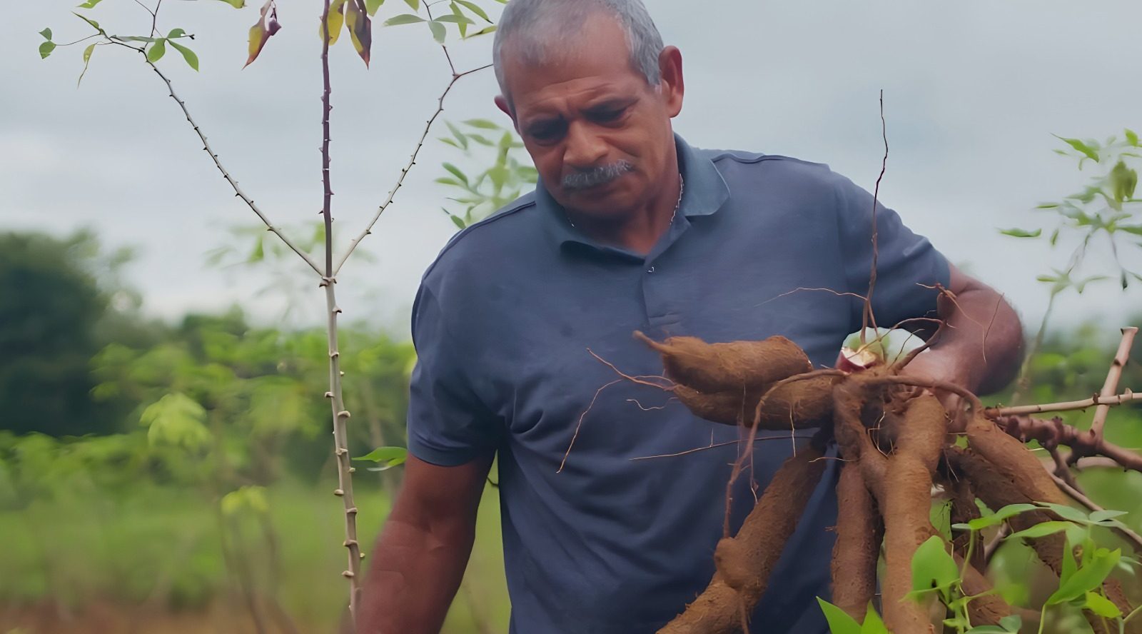 Produ&ccedil;&atilde;o de farinha cresce cinco vezes com apoio do Governo do Tocantins em Gurupi