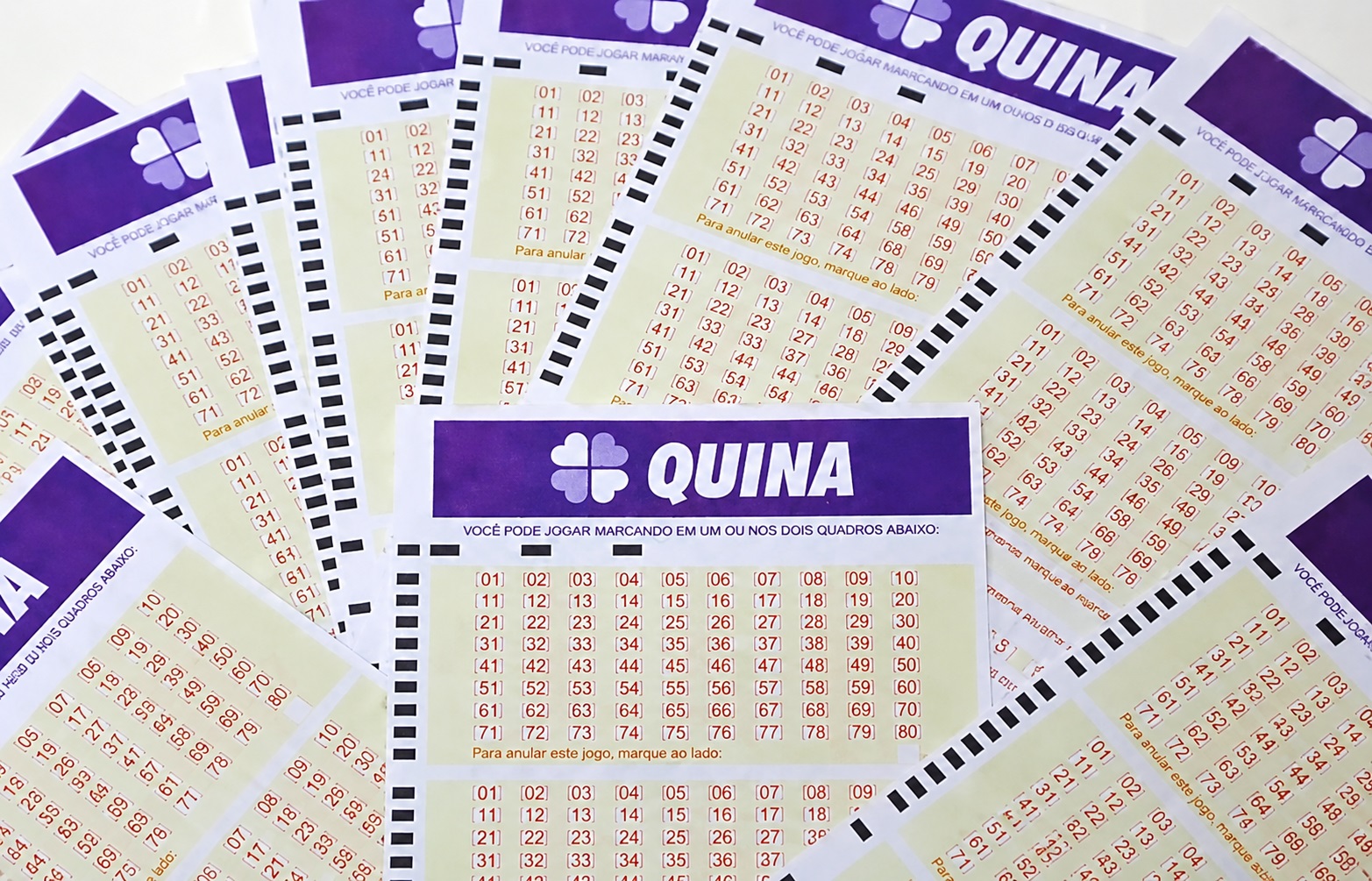 Tocantins tem aposta premiada na Quina 7060; veja a cidade que faturou o pr&ecirc;mio