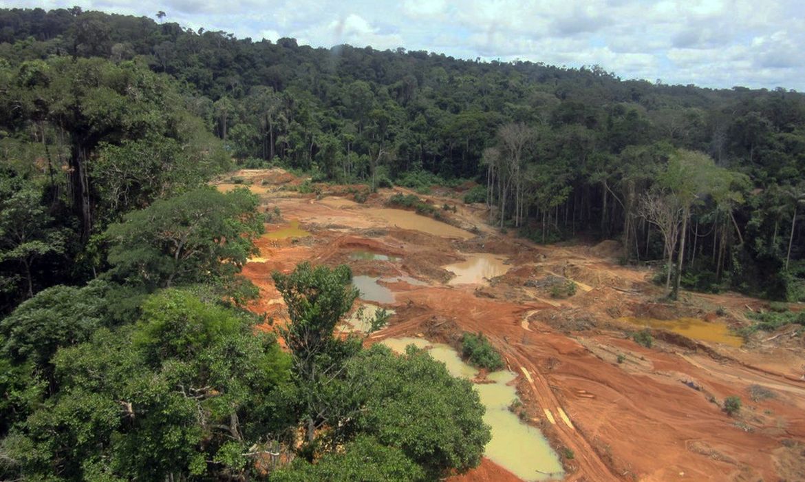 Garimpo ilegal em terra ind&iacute;gena leva STF a cobrar plano urgente da Uni&atilde;o