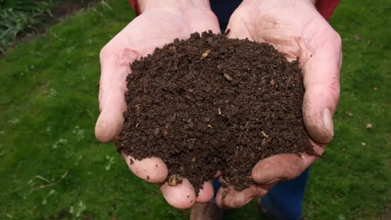 Mesmo com pre&ccedil;os elevados, vendas de fertilizantes crescem e superam 9,7 milh&otilde;es de toneladas no Brasil