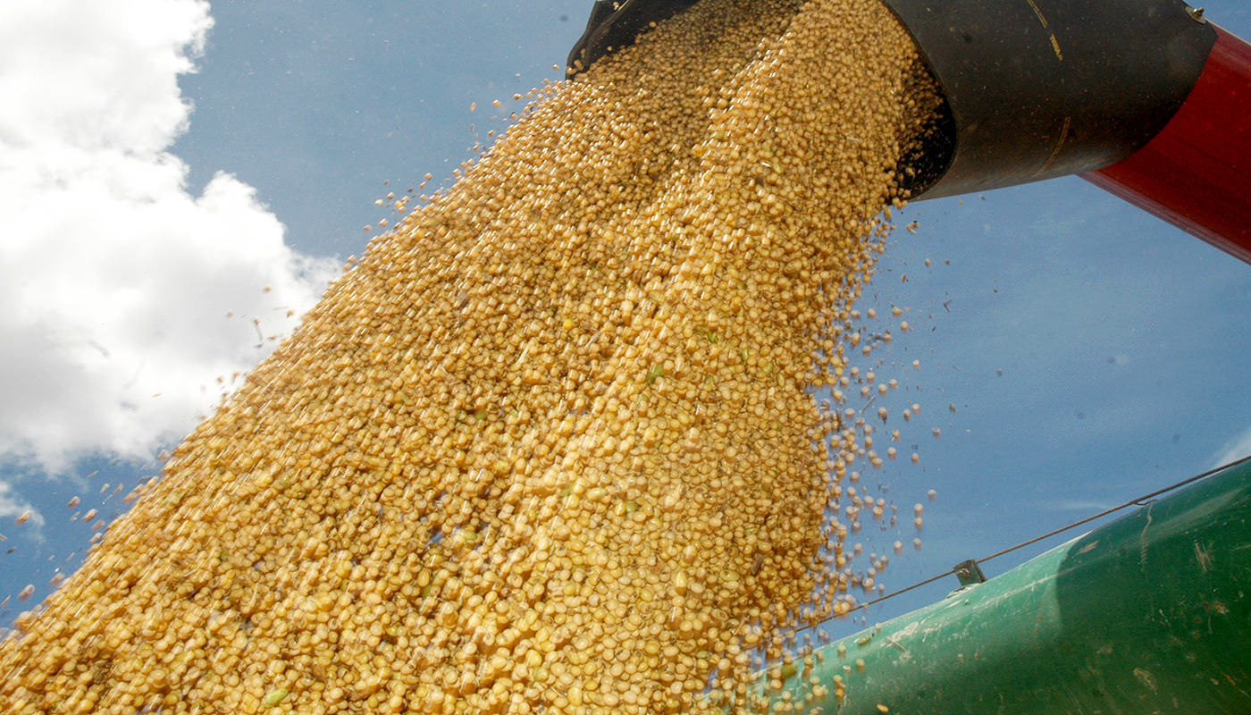 Tocantins amplia produ&ccedil;&atilde;o agr&iacute;cola e cresce 28,4 mil toneladas e entra no radar nacional do agro