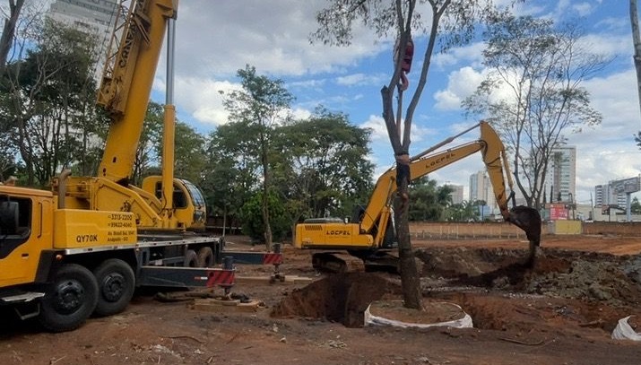 Transplante de 39 &aacute;rvores quase centen&aacute;rias preserva patrim&ocirc;nio ambiental e hist&oacute;rico em An&aacute;polis