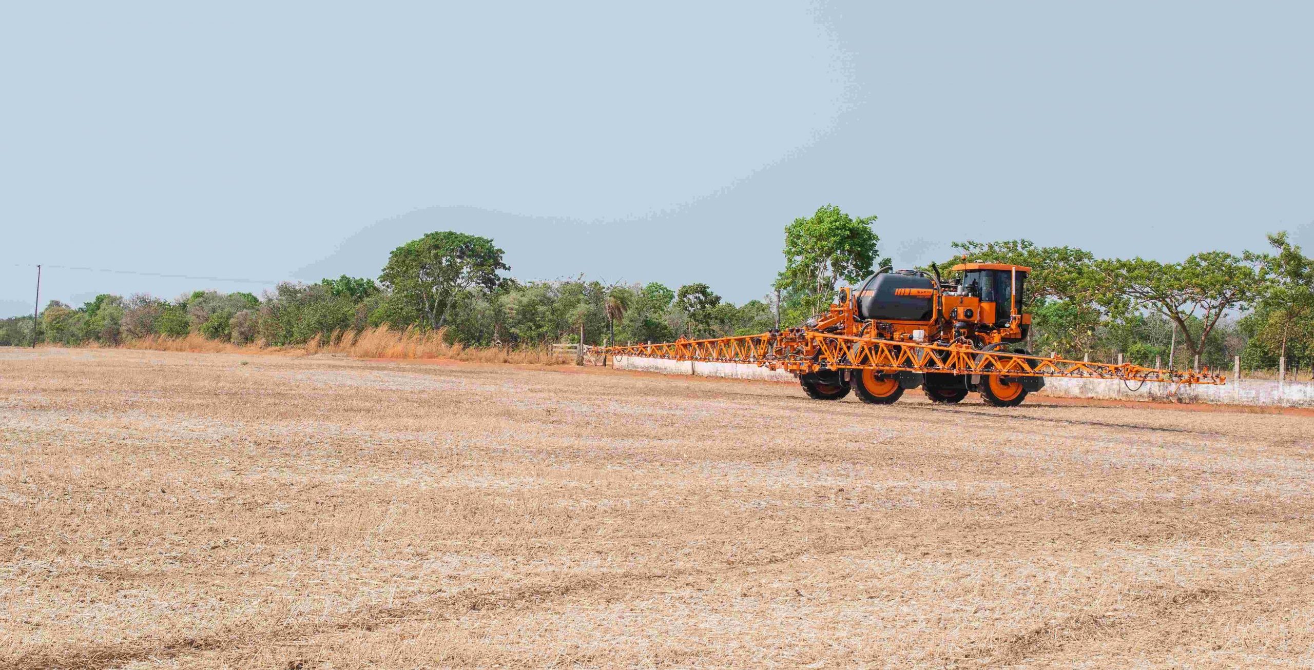 Vazio sanit&aacute;rio da soja come&ccedil;a em julho e produtores devem eliminar plantas vivas no Tocantins