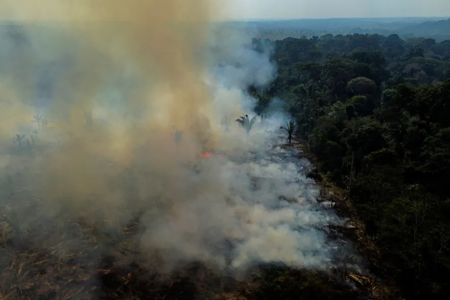 Queimadas na Amaz&ocirc;nia elevam interna&ccedil;&otilde;es e podem causar milhares de mortes, revela estudo