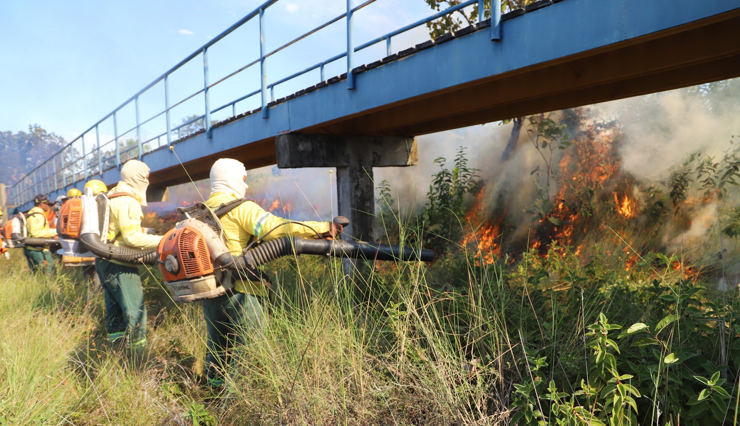 Parque Estadual do Cant&atilde;o recebe curso de forma&ccedil;&atilde;o de brigadistas contra inc&ecirc;ndios florestais