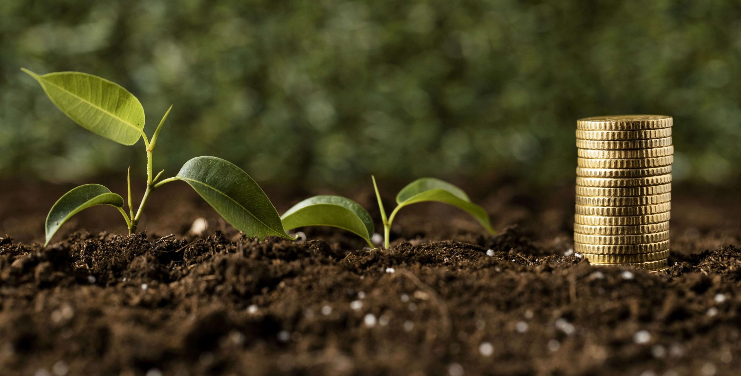 El Ni&ntilde;o 2026 e novas regras do cr&eacute;dito rural ampliam desafios para produtores