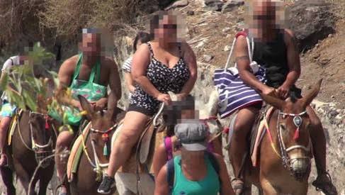 Entenda por que a Gr&eacute;cia n&atilde;o quer turistas acima do peso nos burros de Santorini