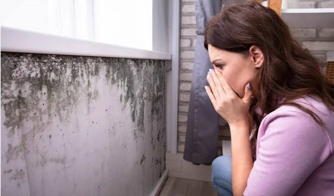 Mofo dentro de casa pode agravar alergias e causar doen&ccedil;as respirat&oacute;rias, alertam especialistas