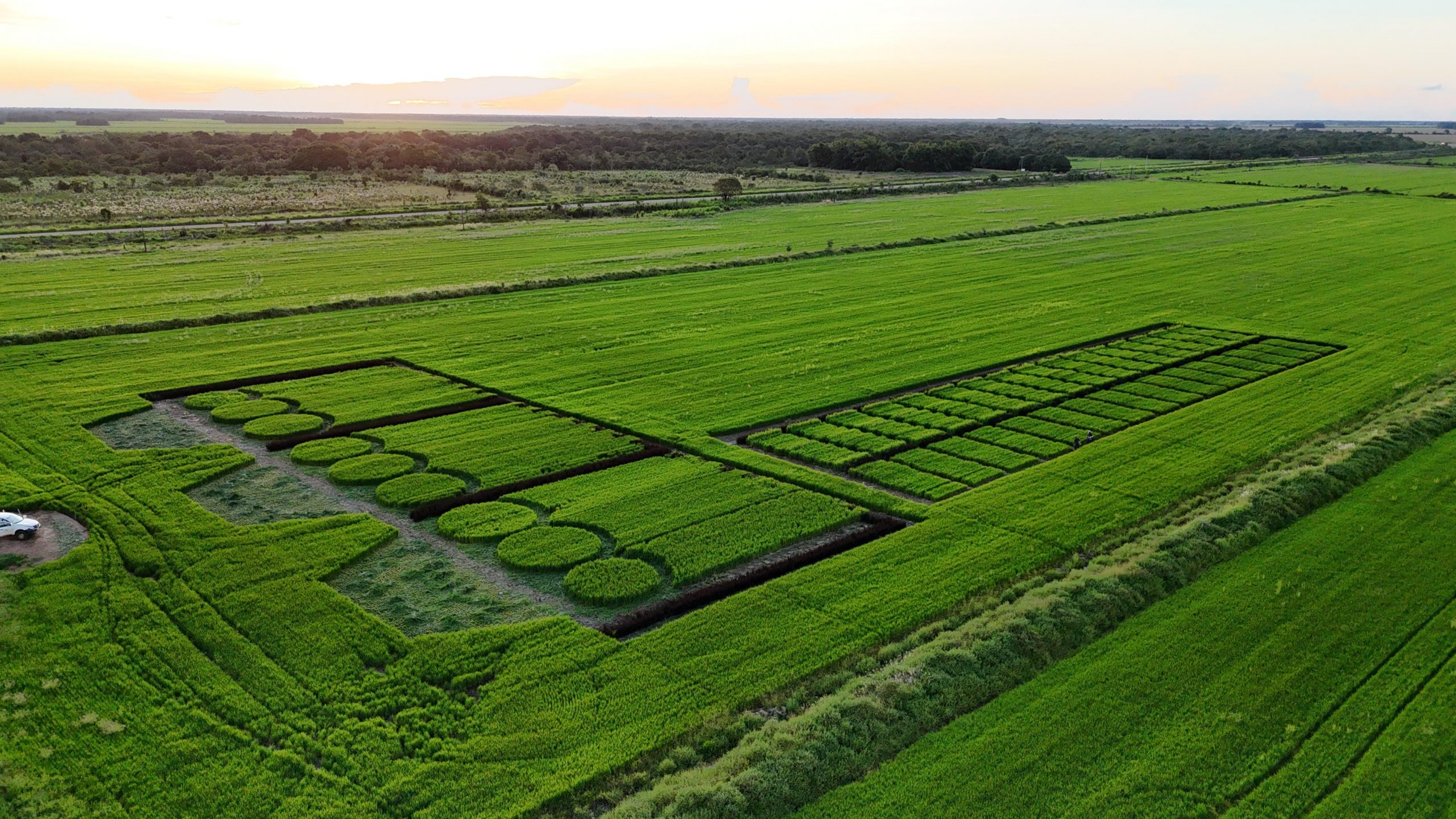 Plano do Polo de Agricultura Irrigada do Sudoeste do Tocantins aposta em ci&ecirc;ncia, inclus&atilde;o e participa&ccedil;&atilde;o