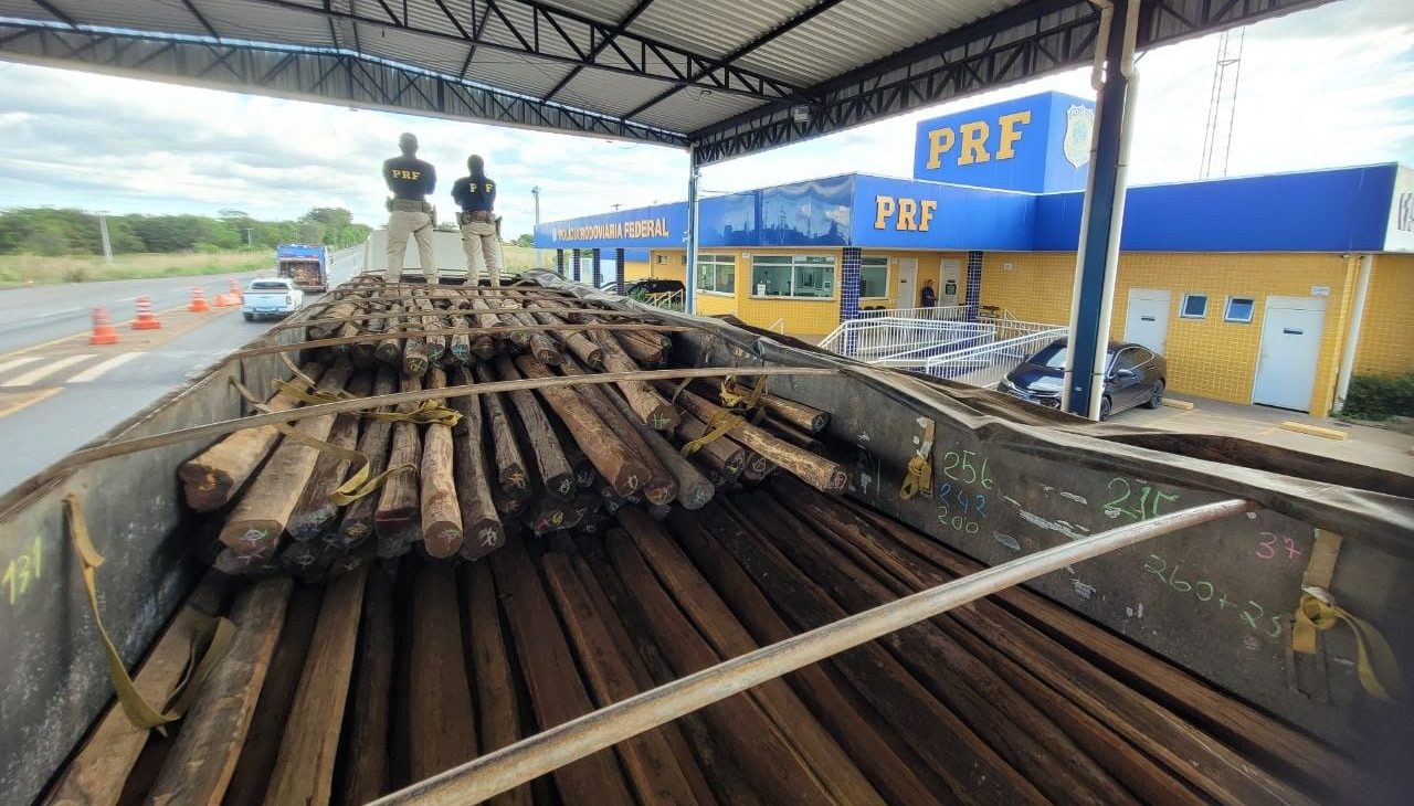 PRF flagra transporte de madeira amea&ccedil;ada de extin&ccedil;&atilde;o e apreende rebites na BR-153